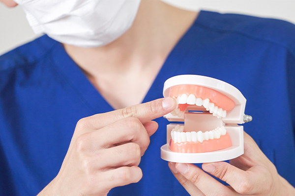 メンテナンスが歯の健康を守る予防となります